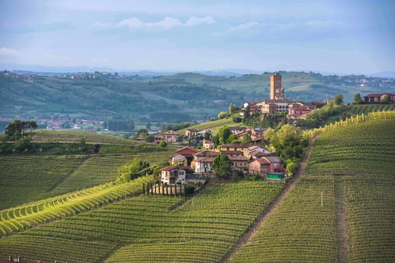 Piedmont-vineyards-and-Barbaresco-town