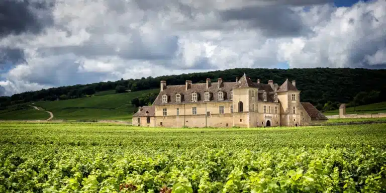Frankrig og de dejlige vine
